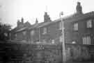 View: t09663 Unidentified row of cottages possibly in the Wadsley area