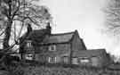 View: t09675 Unidentified cottages possibly in the Wadsley area