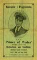 View: y05926 Souvenir programme for visit to Rotherham and Sheffield of the Prince of Wales (later became Edward VIII)