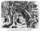 View: y13185 Endcliffe Woods drawn by Mr W. Nicholson