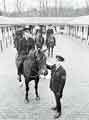 View: y13623 Sheffield and Rotherham Constabulary: 'Ready for Inspection' - Opening day at the Sheffield and Rotherham Constabulary's new stables at Niagara