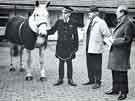 View: y13649 South Yorkshire Police: Retirement of police horse 'Monarch' after nine years police service.