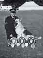 View: y13705 South Yorkshire Police: Sergeant Maurice Hunt and Duke at the South Yorkshire Police Horse and Dog Competition, Sheffield Show