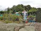 View: a06241 Covid-19 pandemic: NHS workers immortalised as scarecrows on allotments on Marsh Lane, Crosspool. 