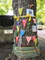 View: a06388 120-year-old Huntingdon Elm tree on Chelsea Road, Nether Edge, Sheffield