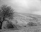 View: a06942 Looking down on More Hall reservoir, Ewden Valley