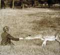 Photographer, William Beckett's wife, Annie Beckett, pictured with a deer [Stocksbridge area]