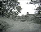 View: a06953 Cottage in Wortley up near Moor End Farm