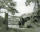 View: a06958 Hunshelf Bank, Barnsley