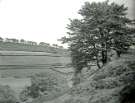 View: a06962 Looking down to Old Mill Lane from Trunce, Thurgoland