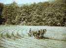 View: a06965 Cutting hay in the field opposite Tin Mill, Deepcar