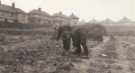 Woodthorpe School, Woodthorpe Road - planting time