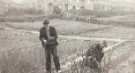 Woodthorpe School, Woodthorpe Road - planting time