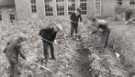 Woodthorpe School, Woodthorpe Road - gardening