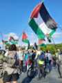 Demonstration in support of Gaza and Palestinians during Israel's military strikes against Hamas in the Gaza strip, Sheaf Street