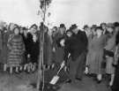 John Henry Bingham, Lord Mayor of Sheffield, 1954-1955: Coronation gift of trees from the CPRE (Council for the Preservation / Protection of Rural England), Ridgeway Road