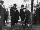 View: arc07059 John Henry Bingham, Lord Mayor of Sheffield, 1954-1955: Tree planting ceremony, Graves Park