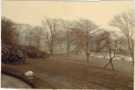 Grounds at Osgathorpe Hills, Pitsmoor (before Scott Road was built), family home of Henry Joseph Wilson (1833-1914) and Charlotte Cowan Wilson (1833-1921), [early 20th cent?] 