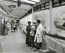 View: h00236 Post-natal ward, City General Hospital (latterly Northern General Hospital), Christmas 1956