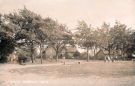 View: p01596 Arbourthorne Cottages, off Arbourthorne Road, southern end of Norfolk Park, opposite pavilion. There were two houses, each divided into three dwellings 