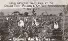 Girls gathering raspberries at the English Fruit Preserving Co's farm at Stocksbridge