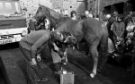 Blacksmith, Abbeydale Industrial Hamlet Museum