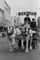 Tetley dray, Lord Mayor's Parade, The Moor