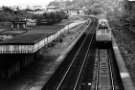 Former Millhouses and Ecclesall railway station