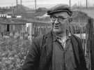 Man at allotments at Tinsley