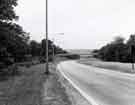 View: s46235 Footbridge over the Parkway at Handsworth looking West and showing (right) the edge of Bowden Housteads Wood 