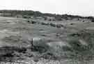 View: s46336 City boundary, off the Parkway showing view to Tinsley Golf course from the South