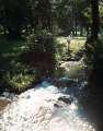 Porter Brook running through Endcliffe Park 