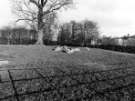 View: s46921 Sheep grazing, Graves Park showing (back left) Norton Hall