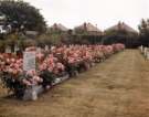 Woodhouse Cemetery, Stradbroke Road