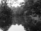 Fishing in the Rivelin Valley