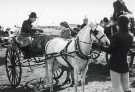 South Yorkshire County Council (SYCC): Pageant of the Horse, c.1977