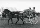 South Yorkshire County Council (SYCC): Pageant of the Horse, c.1977