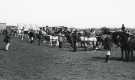 South Yorkshire County Council (SYCC): Pageant of the Horse, c.1977