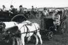 South Yorkshire County Council (SYCC): Pageant of the Horse, c.1977