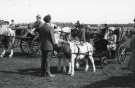 South Yorkshire County Council (SYCC): Pageant of the Horse, c.1977