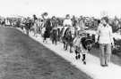 South Yorkshire County Council (SYCC): Parade of horses, Pageant of the Horse, c.1977 