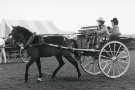 South Yorkshire County Council (SYCC): Pageant of the Horse, c.1977 