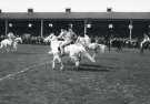 South Yorkshire County Council (SYCC): Pageant of the Horse, c.1977 