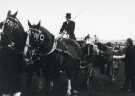 South Yorkshire County Council (SYCC): Pageant of the Horse, c.1977 