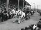 South Yorkshire County Council (SYCC): Parade of horse drawn carriages, Pageant of the Horse, c.1977 