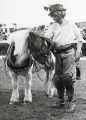 South Yorkshire County Council (SYCC): 'pit pony' at the Pageant of the Horse, c.1977 