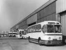 Sheffield Transport Department buses and coaches outside unidentified bus depot