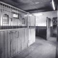 View: t11915 Stables, Whitley Hall, Elliott Lane, Chapeltown