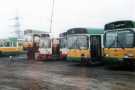 View: t12268 Yorkshire Terrier Bus Co. buses awaiting repair or scrapping at unidentified location