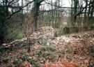 View: t12292 Monks well and field walls, Beauchief